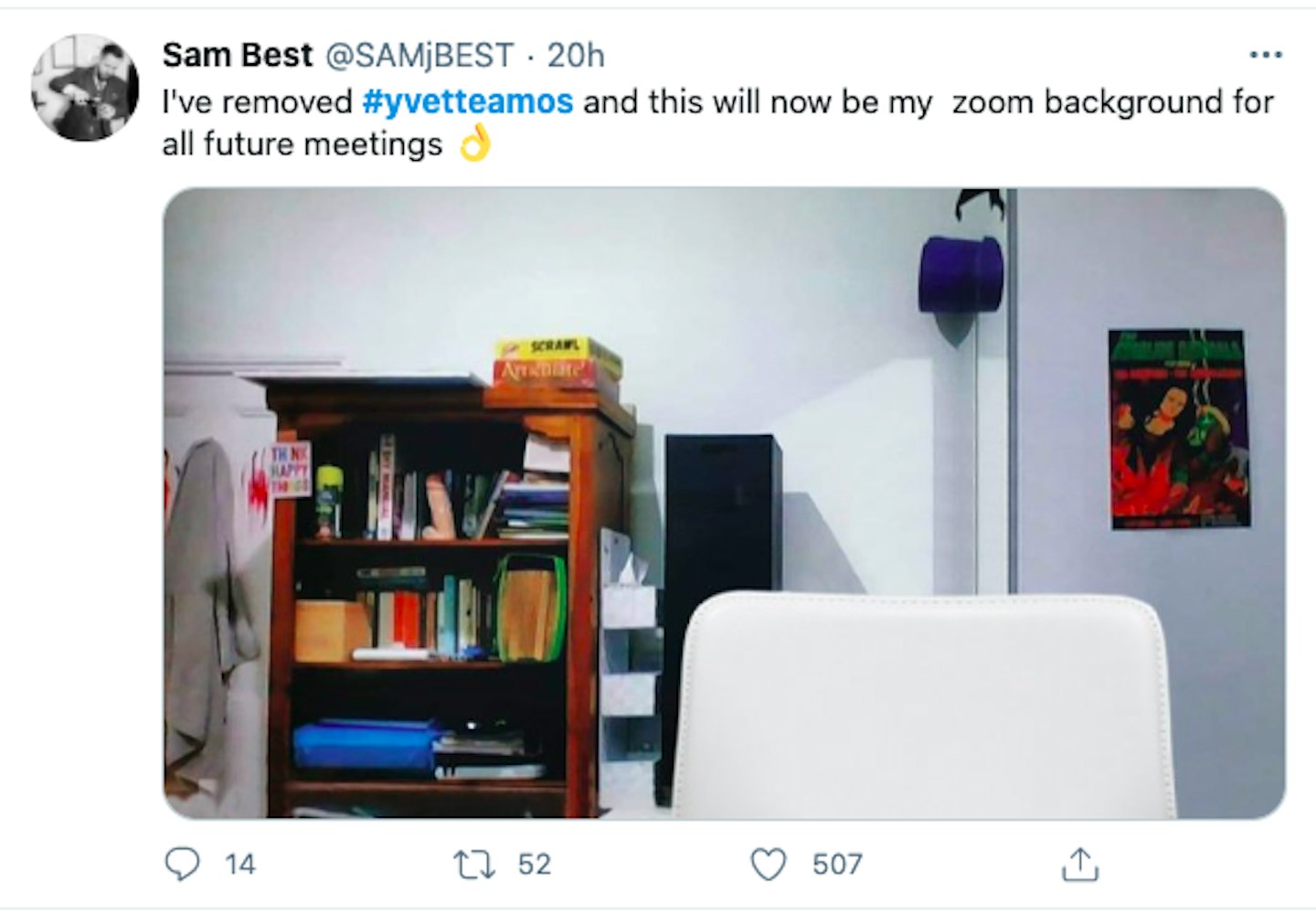 Yvette Amos The Woman Who Left A Huge Dildo On Her Bookcase While On